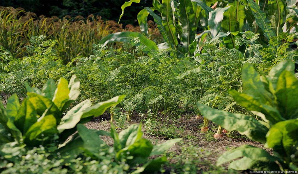 RAU CỦ QUẢ VOL 93